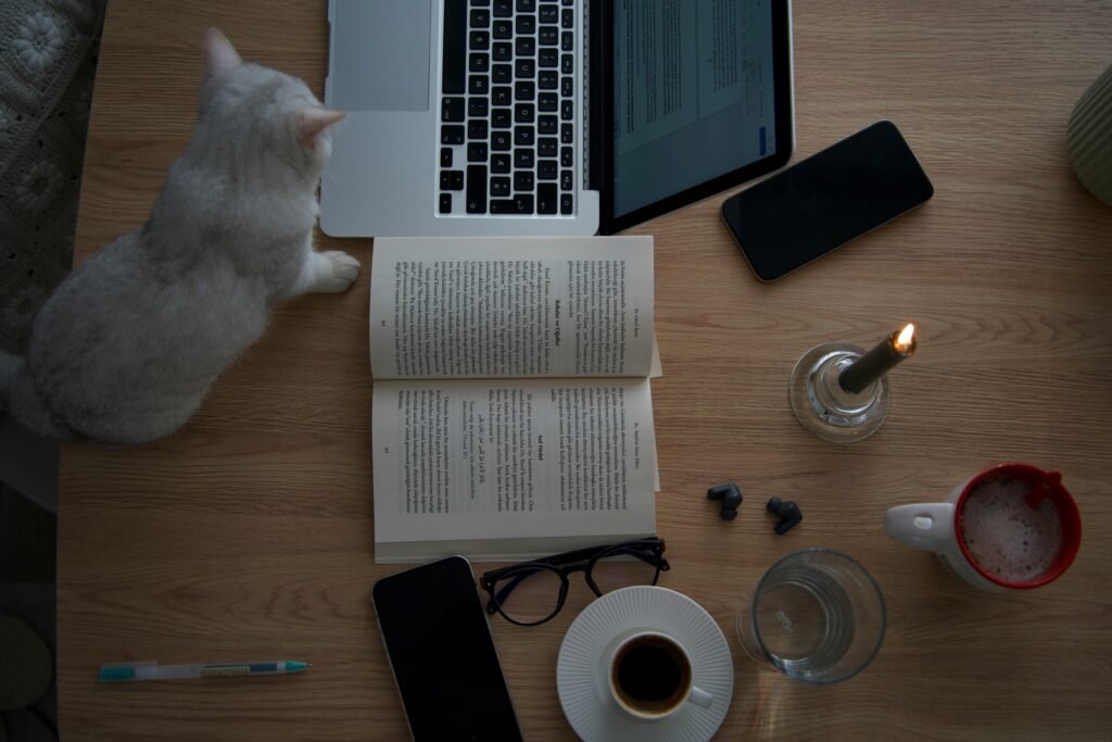 Warm, cozy workspace featuring a laptop, book, and cat on a wooden desk.